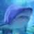 shark