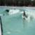 BSR-Surf-Resort-2