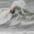 AS4I0602-300x200