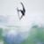 Julian-Wilson_25GoldCoast_BR9_8688_Beatriz-Ryder