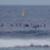 PRO-SURF-MEDIA-Margaret-River-morning-warm-up-session-with-the-CT-Pro-Surfers-Eun6M5Z5x4A-896x504-14m28s