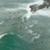 Surf-Days-Snapper-Back-From-The-Dead-14-May-2025
