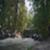 Eisbach-River