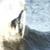 hiroto68-300x169