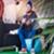 Dane_WSL-Poullenot-Aquashot