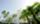 1208483415_sunfenicshotel