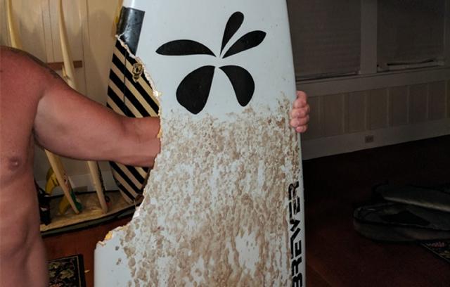 Surfboard-bitten-by-a-shark