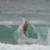 Mick-Fanning