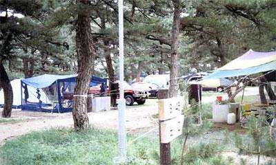1175912017_houjyou_autocamp