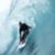glasert_TAV_20180528_0743-300x200