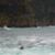 Shipstern-Bluff