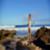 Coco-Ho-DELIGHTS-Coco-Ho-Presented-By-Kona-Big-Wave-0OBRW1dkobQ-896x504-0m04s