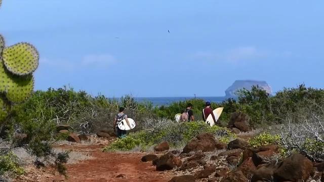 Kepa-Acero-looking-for-waves
