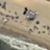 New-York-Shark-Attack