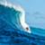 Julian-Wilson-Backdoor