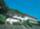 1175754025_arvin