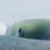 njsurfers-300x166