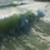 Surf-Days-Kooks-Wipeouts-Fails-Carnage-Absolute-Mayhem-zH3REs8Krbg-975x548-2m02s