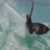 a9c644b0c5550cb32592eba31ac55409