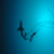 429d3eb65e576a7c1ccb945b599513f4