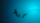 429d3eb65e576a7c1ccb945b599513f4