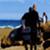 Dan-Scott-Kelly-Slater-Surfing-Winki-Australia.-7z-BckuTkeY-896x504-1m22s