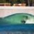 BSR-Wavepool
