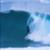 CHAPTER-11-TV-Indo-Skunk-Daily-Exports-EJK2DfC2m_w-897x504-2m37s