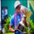 ADS-Champion-WSL-Masurel