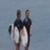 Conner-and-Parker-Coffin-Mucho-Calor-Conner-Coffin-and-Jackson-Dorian-in-Mexico-xSqpEYJJaxs-1033x581-0m21s