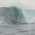 Shipstern-Bluff