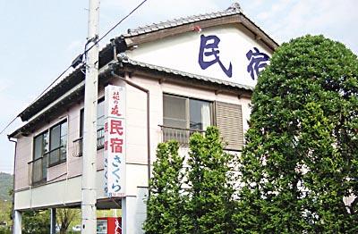 1147840267_minsyukusakura
