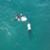 Huntington-Beach-Rescue