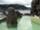1240474092_island_kouzuonsen_2009