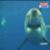 protective-wetsuit-1