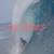 vlcsnap-2024-07-27-09h04m06s223