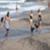 Surfers-of-Bali-Time-Place-Whats-Canggu-Like-In-August-L3VM649srEY-896x504-33m40s