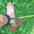 r20180501a