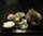 1240804934_irago_noyori_2009