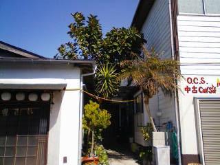 1209116536_minsyukumasaki