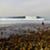 Lower-Trestles