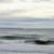 IMG_8818-2-300x200