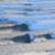 surfonmars-Surfing-Absolutley-Pumping-Kirra-Point-Greenmount-Dawn-Sessions-Sunday-19th-July-2026-3Ot4UML_pYM-896x504-1m56s