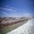site1772usopen19morris__large