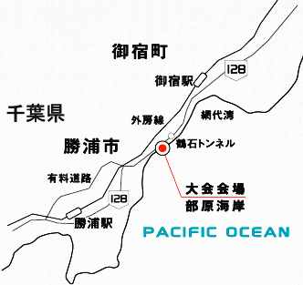1125554391_map