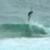 Surf-Days-Brazillian-Storm-Rains-On-Snapper-Rocks-2026-FjcciibXaHk-896x504-0m37s