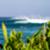 lineup6745sunset17heff_mm__large