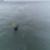 Bodysurfing-Nazare