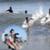 arashipaddle2-300x169