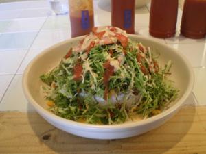 1238050029_shonan_gajyumaru_2009